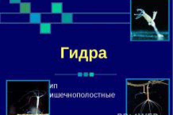 Ссылка на кракен тор kr2web in