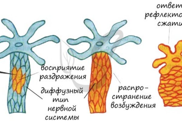 Kra19cc